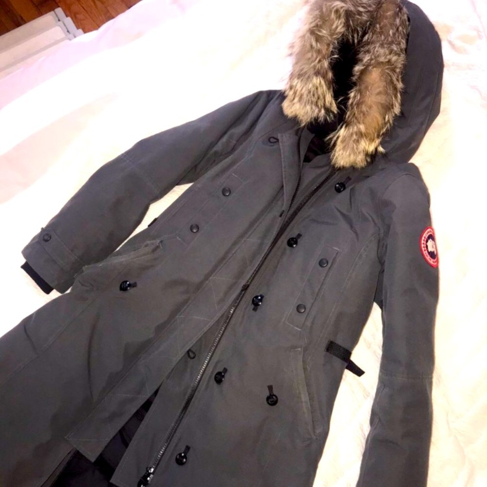 Authentic Grey Canada Goose